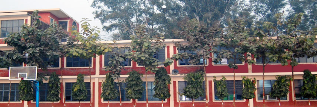Dron Public School Meerut